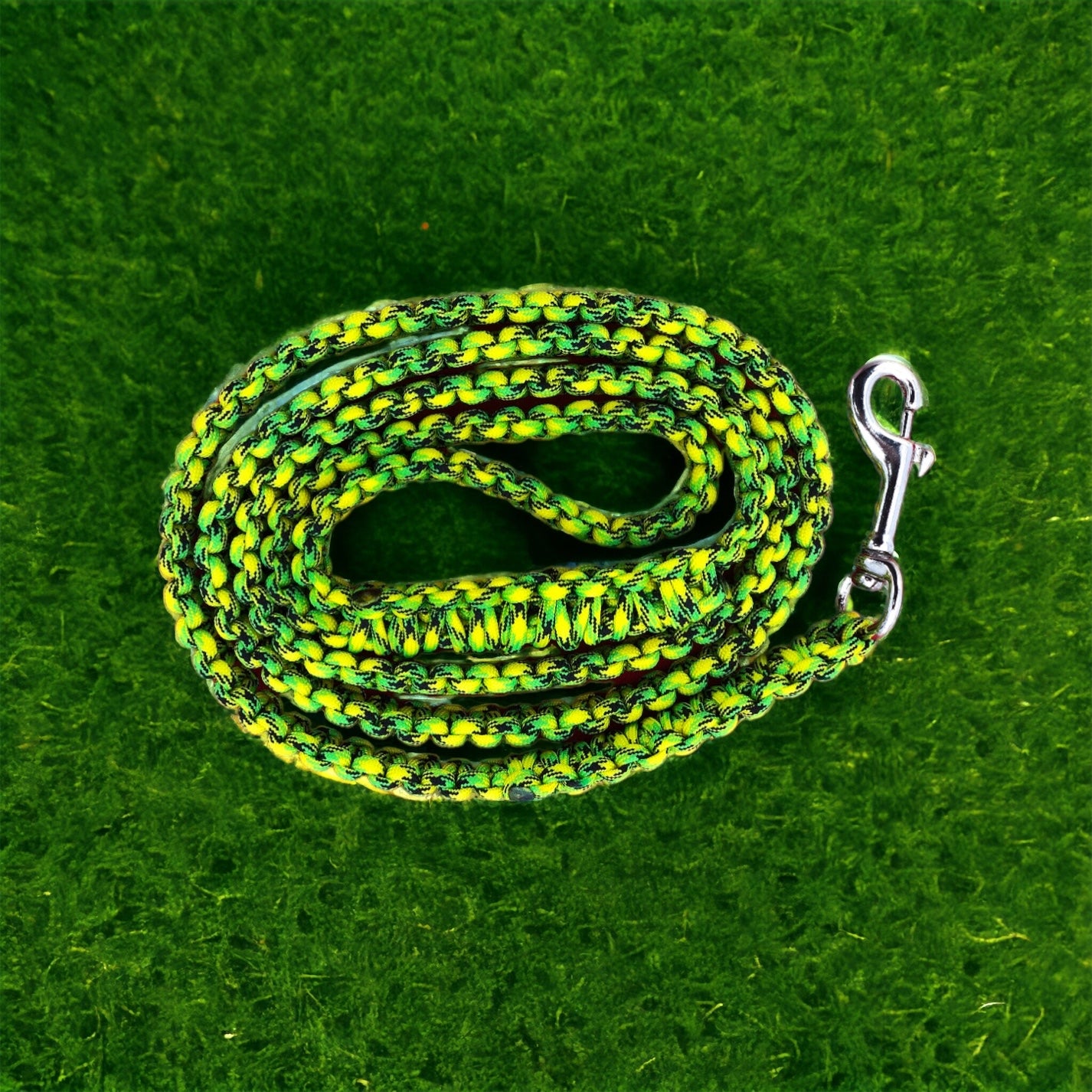 4FT Paracord Dog Leash: Dragonfly