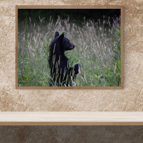 Smokey Mountains!! Standing Bear Photo! Black Bear! Mountains!! Nature Photography!! Digital Download!!