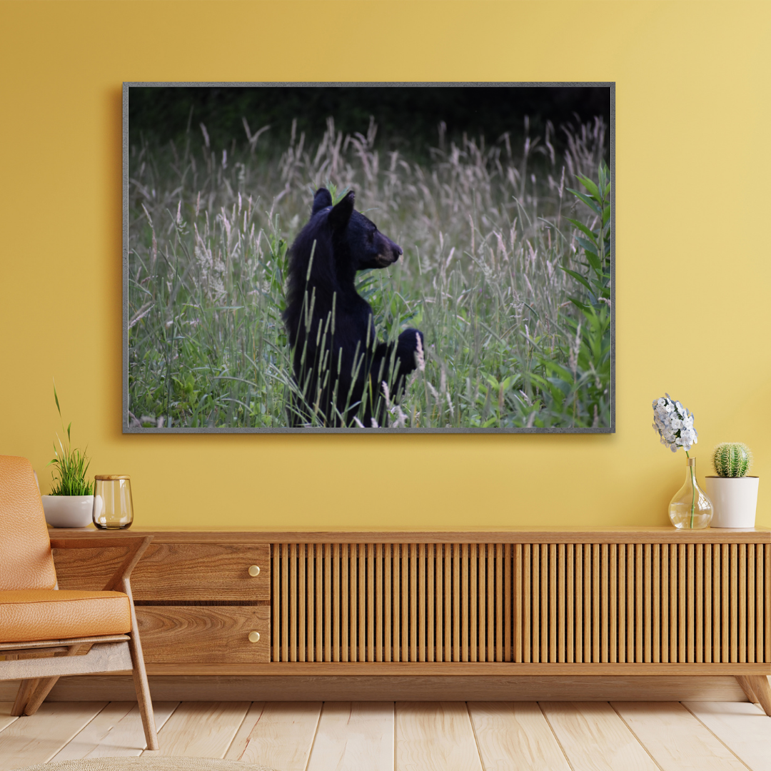 Smokey Mountains!! Standing Bear Photo! Black Bear! Mountains!! Nature Photography!! Digital Download!!